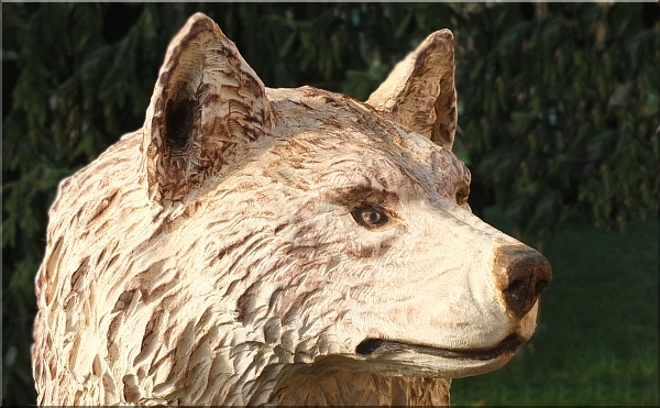 wolf holz geschnitzt motors�ge kettens�ge kunst holzwerker